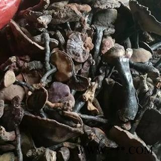 吉康药业灵芝红灵芝赤灵芝图3