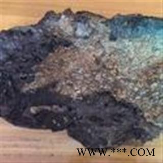 吉康药业 斑褐灵芝（树皮芝） 海南产地图2