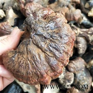 灵芝个 野生灵芝 产地 辽宁省图3