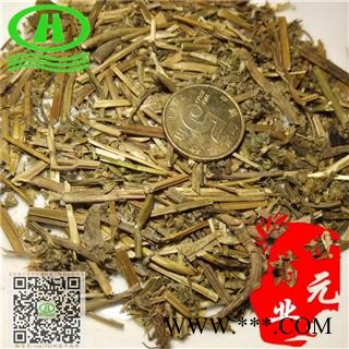 世元药业 夏至草  白花夏枯草 白花益母 灯笼棵 风轮草 小益母草 假茺蔚 假益母草 风车草图2