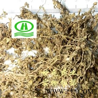 世元药业 鹅不食 正品 别称 食胡荽 野园荽 杜网草 猪屎草 砂药草 白地茜 猪屎潺 通天窍 雾水沙 猫沙 小拳头 铁拳头 散星草 地杨梅 三牙钻 蚊子草 白珠子草 石胡荽图2