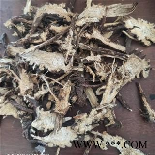 藁本 统 产地 新疆维吾尔自治区 产地直销 重在质量图2