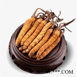 冬虫夏草精选2000条2条1克正品保证质量7天无理由退货退款 中药材批发 丽丽药业图3