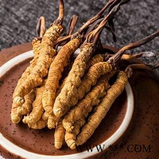 冬虫夏草精选2000条2条1克正品保证质量7天无理由退货退款 中药材批发 丽丽药业图4