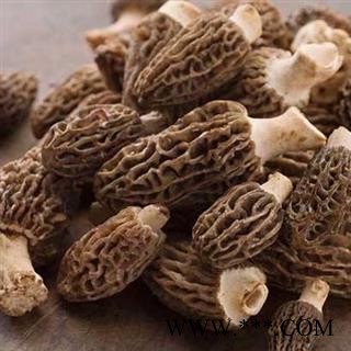 羊肚菌 纯野生羊肚菌全干货 正品保证质量7天无理由退货退款 中药材批发 丽丽药业图3