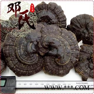 小个黑灵芝伞形盖选货1公斤起批苦味散装批发产地直供邓氏中药材批发图3