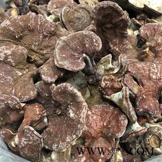 包邮 灵芝 野生红赤灵芝 产地 吉林省白山市抚松县图3