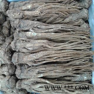 当归 箱装精品个 产地 甘肃省定西市陇西县图2