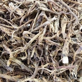 秦艽 内蒙野生秦艽 产地 内蒙古自治区图2