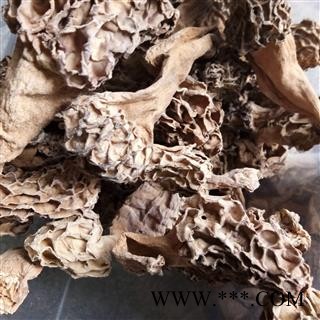 羊肚菌 统货 野生羊肚菌  产地 安徽省图2