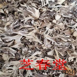 芝春堂 批发中药材 灰树花 干灰树花 食用菌 新货上市 大货供应图4