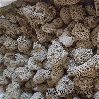 小丽百草行中药材海石花 石花 海浮石花 矿石大全图2