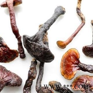 吉康药业灵芝 林芝 林芝 产地 吉林省长春市市辖区图2