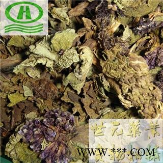 世元药业 独一味叶 正品 新货 大巴 打布巴 独一味苗图2