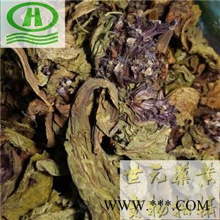 世元药业 独一味叶 正品 新货 大巴 打布巴 独一味苗图1