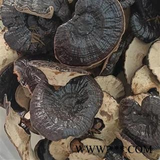 灵芝 灵芝孢子粉 东北野生灵芝 产地 辽宁省 凯捷中药图2