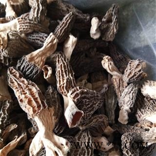 羊肚菌 贵州人工培植选货 产地 贵州省 羊肚菜、羊蘑、羊肚蘑图1