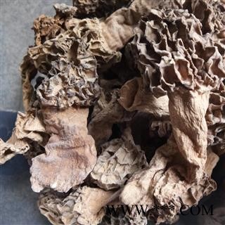 羊肚菌 野生 统货 产地 安徽省图3