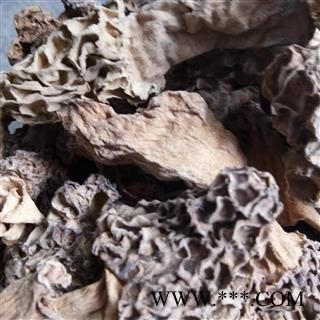 羊肚菌 野生 统货 产地 安徽省图2