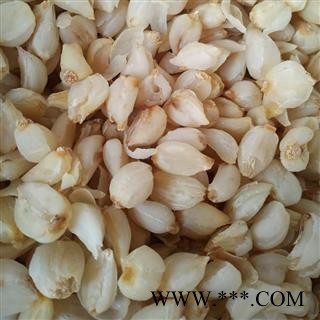 百合 甜百合 百合干 食用百合 兰州百合  产地 甘肃省图2