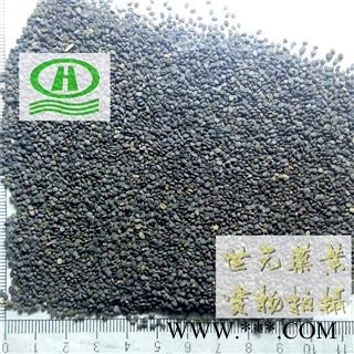 世元药业 菥蓂子 正品 精选 菥蓂籽 药店诊所药批专供各类中药xi mi zi图2