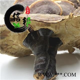 灵芝正宗西藏野生灵芝选货品相佳专营贵细类冷被偏门专注品质，诚信信邦！图3