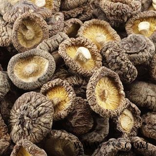 香菇全干货正品保证质量7天无理由退货退款 中药材批发 丽丽药业图4