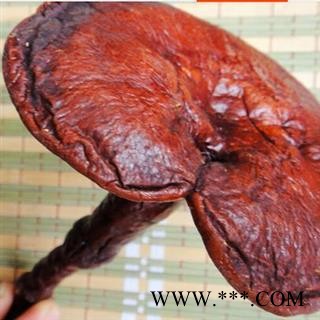 灵芝个颜色鲜艳正品保证质量7天无理由退货退款 中药材批发 丽丽药业图3