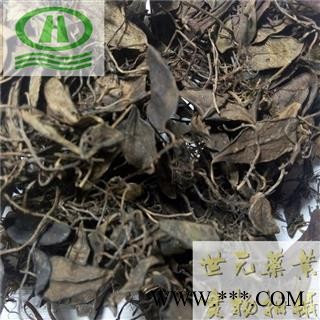 世元药业 抱石莲 正品 别称-风不动 鱼鳖草 金丝鱼鳖 山豆爿草 抱树莲图2