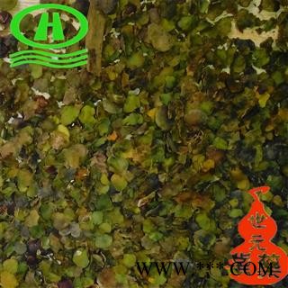 世元药业 浮萍 青萍 田萍 浮萍草 水浮萍 正品 绿背浮萍 紫背浮萍图2