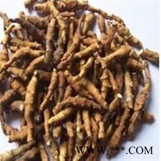 九节菖蒲 九节菖蒲净货 地道药材 产地 陕西省图3