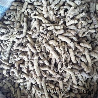 巴戟 巴戟肉三级个0.4 产地 广东省图2