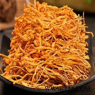 虫草花 统 产地 内蒙古自治区图2