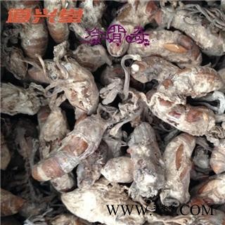金蝉花 蝉花统货 产地 安徽省 批发各种冷背中草药个子图2