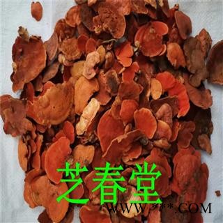 芝春堂 牛樟芝 牛樟菇 樟菇 樟芝 牛樟芝 牛樟菇 樟菇 樟芝图4