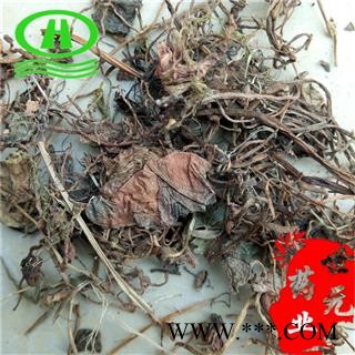 世元药业 虎耳草 正品 石荷叶 金线吊芙蓉 老虎耳图2