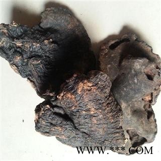 小丽百草行中药材灵芝  桦褐孔菌白桦茸 桦树黄 桦树菇、桦褐孔菌、西伯利亚灵芝图2