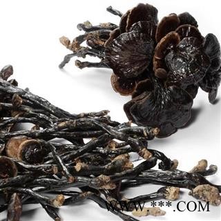 吉康药业灵芝 竹灵芝产地云南7日内无理由退货图2