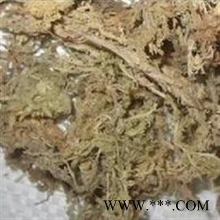 吉康药业石蕊花 云芝茶 太白花 太白树图2