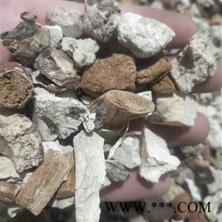 茯神片1000克促销批发 野生茯神碎块 产地 安徽省安庆市图2