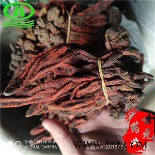 世元药业 回春草 正品野 草苁蓉 文王一支笔 不老草 草龙鞭图2