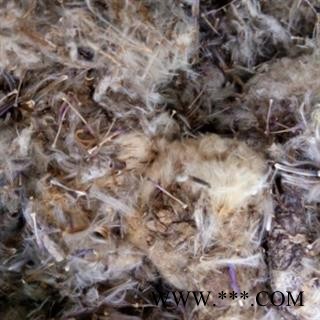 世元药业 雪莲花 藏雪莲 正品 优质 促销图3