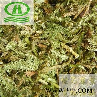 世元药业 伸筋草 正品 别称-牛尾菜 大顺筋藤 大伸筋 百部伸筋 水摇竹【全品除尘中药】图2