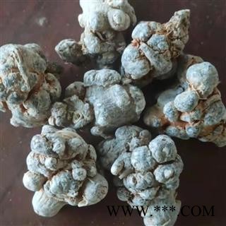 三七 三七20头 产地 云南省 产地直销 质量保证图2