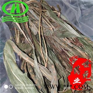 世元药业 七星剑 正品z 别称小叶不红 星色草 假芥兰 独行千里 野香薷 酒瓶草 痱子草图2