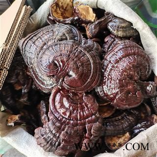 黑灵芝 大号灵芝实图拍照 正品保证质量7天无理由退货退款 安品堂图4