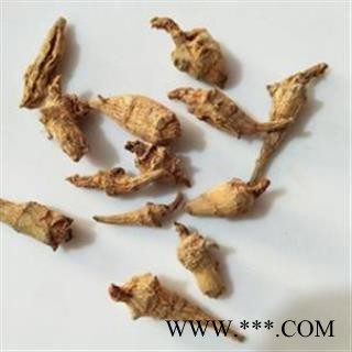 三七 水洗三七芽 产地 云南省图3