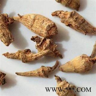 三七 水洗三七芽 产地 云南省图2