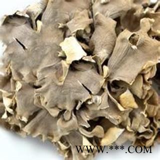 灰树花净500克 舞茸 千佛菌 叶状奇果菌 莲花菌 贝叶多孔菌 正品保证质量7天无理由退货退款 华安堂图2