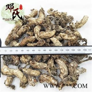 【满包邮】蝉花 蝉蛹草 金蝉花 蚕花 统货 优选品质 产地直供 邓氏中药材批发图3